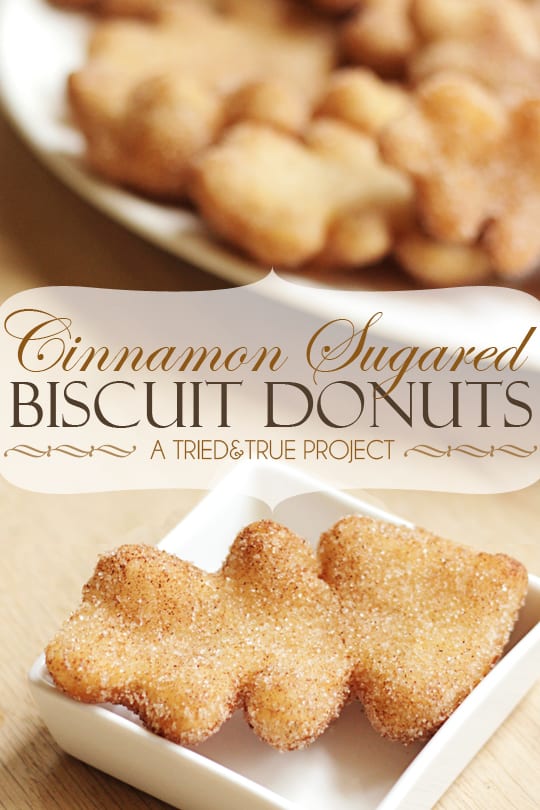 Cinnamon Sugared Biscuit Donuts - A Tried & True Project