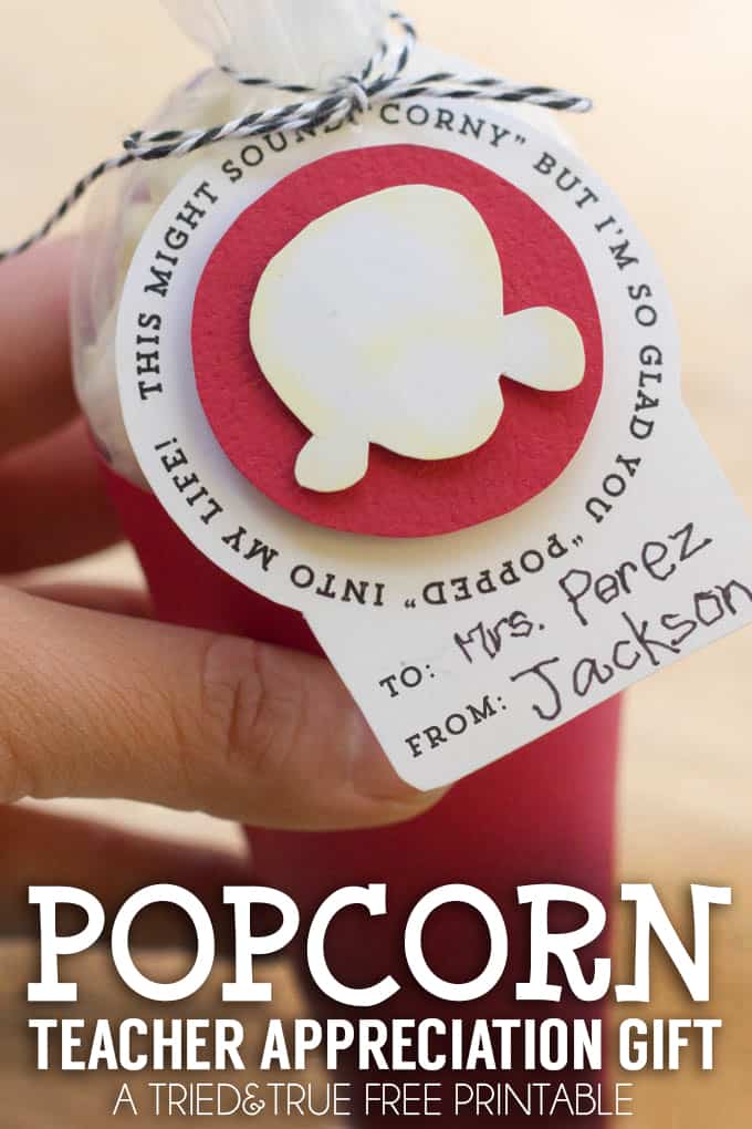 Popcorn Teacher Appreciation Gift Tried True Creative