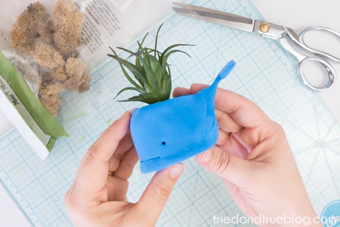 Handmade Whale Clay Pot - Tried & True Creative