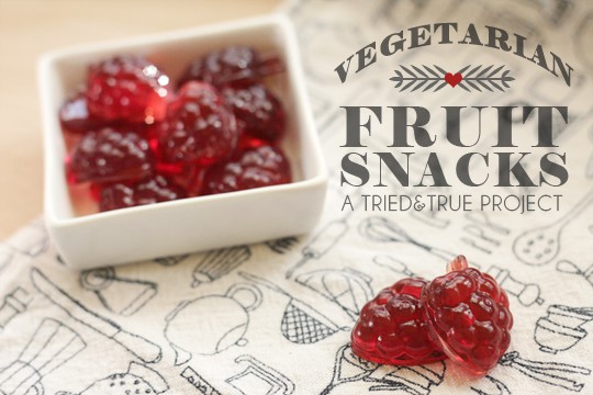 Vegetarian Fruit Snacks | A Tried & True Project