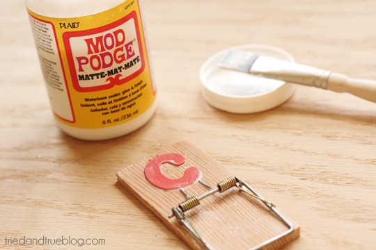 Mouse Trap Clips - Mod Podge