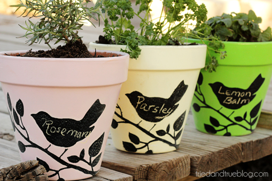 Chalkboard Planters with FolkArt Stencils and Paint | A Tried & True Project