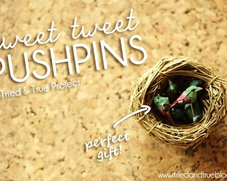 Make a quick little housewarming gift with Tried & True's Sweet Tweet Pushpins!