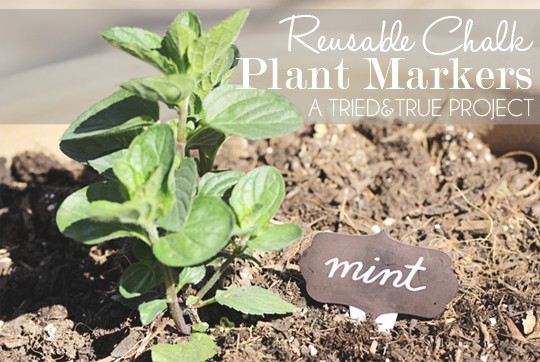 Make Your Own Plant Markers! - A Tried & True Project