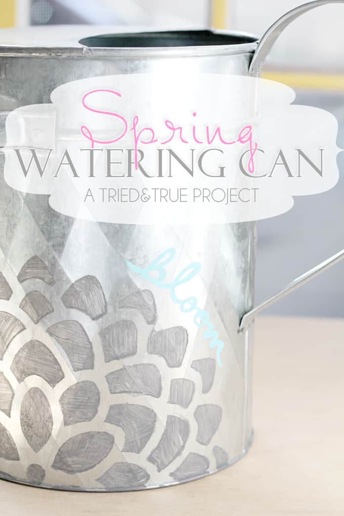 Decorated Spring Watering Can - A Tried & True Project