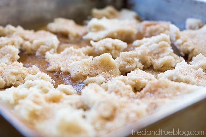 Apple Pie Snickerdoodle Bars -Topping