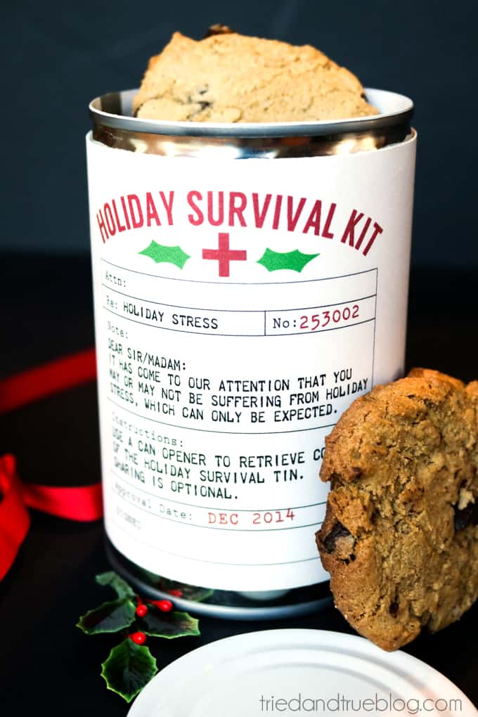 Holiday Survival Kit - Opened