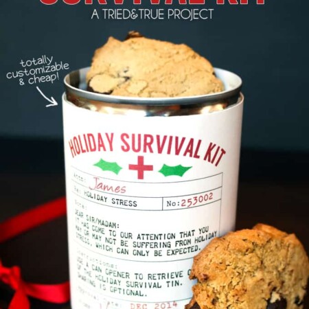 Holiday Survival Kit - The perfect easy and inexpensive gift! Can be filled with candies, cookies, or any other goodies!