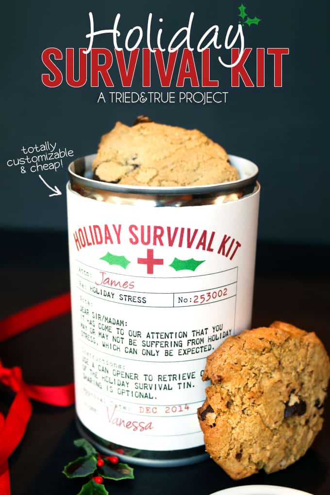 Holiday Survival Kit - The perfect easy and inexpensive gift! Can be filled with candies, cookies, or any other goodies!