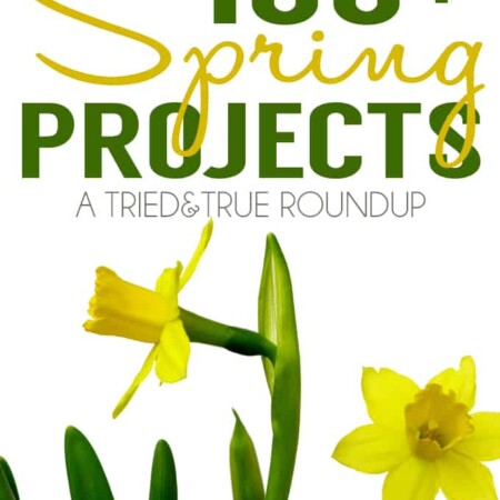 100+ Spring Projects from some of the best bloggers around!