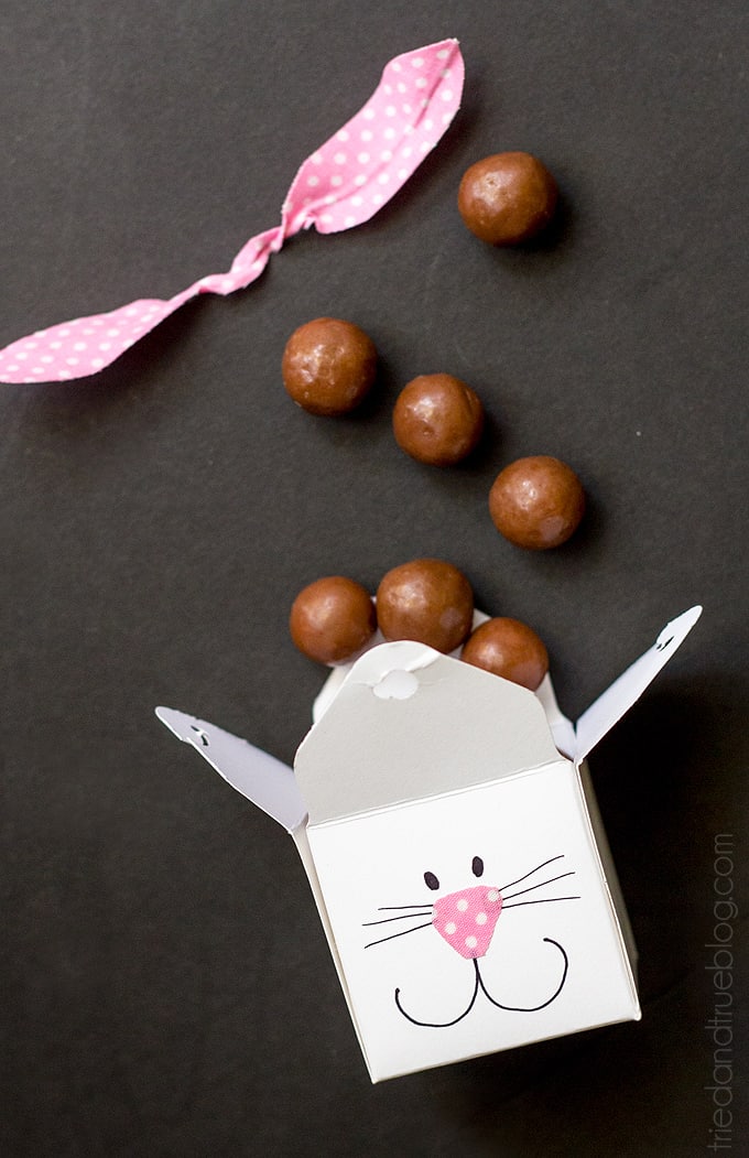 Easter Bunny Favor Boxes - Treats