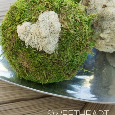 Add a sweet decorative element to your table or mantle with these Sweetheart Moss Spheres!