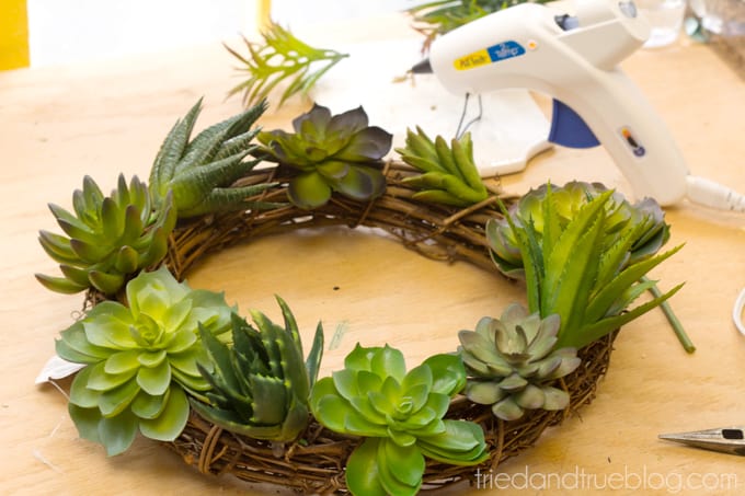 Easy Succulent Wreath - Place