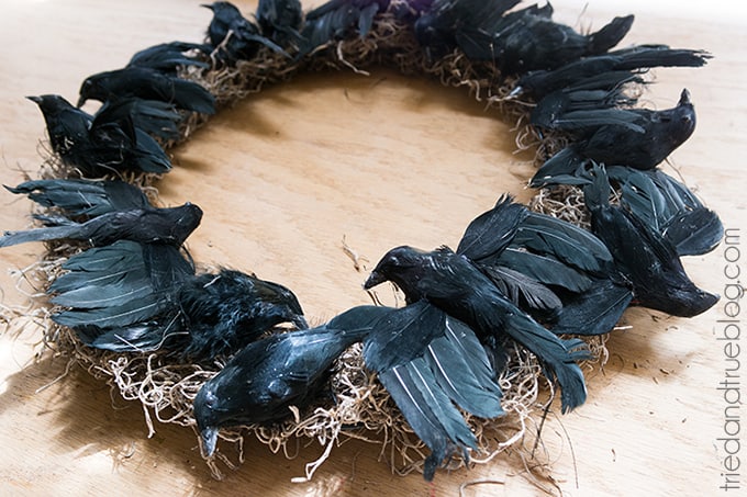 Black Crow Halloween Wreath - Birds
