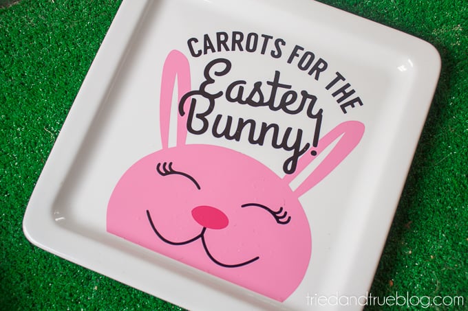 Easter Bunny Carrot Plate - Ready for carrots!