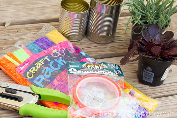 Earth Day Recycled Tin Can Planters - Supplies