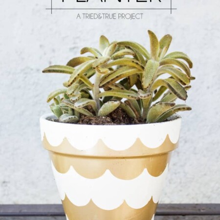 Make this Gold Scalloped Planter with just spray paint and tape! So many different ways to customize!