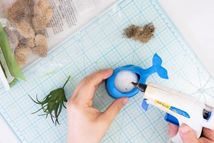 Handmade Whale Clay Pot - Tried & True Creative