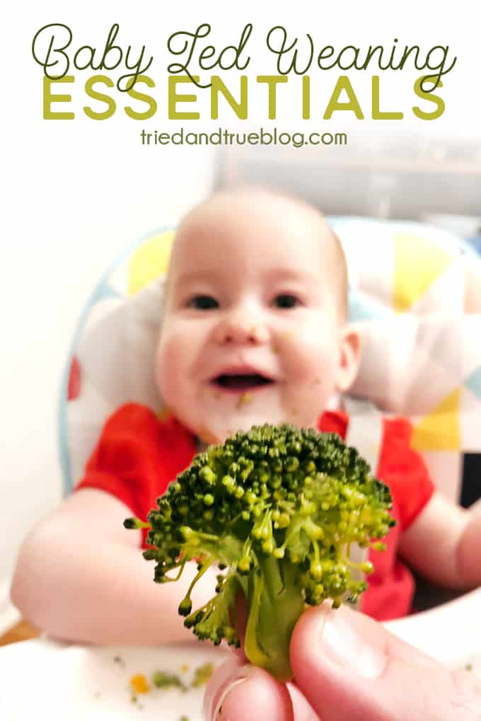 Baby Led Weaning Essentials - Basic supplies needed for BLW