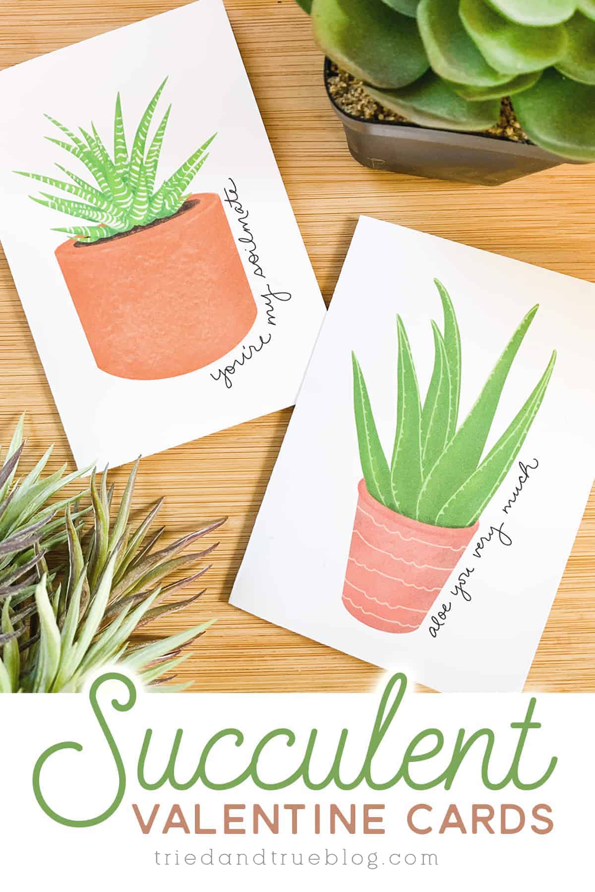 Succulent Valentine's Day Cards